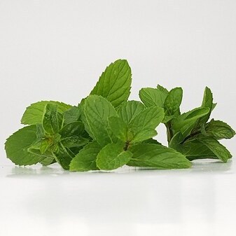 سبزی نعنا