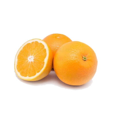 پرتقال جنوب