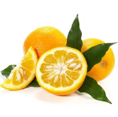 نارنج