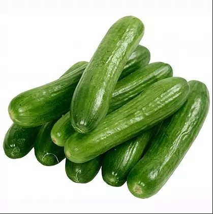 خیار گلخانه ای