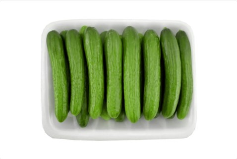 خیار بسته بندی