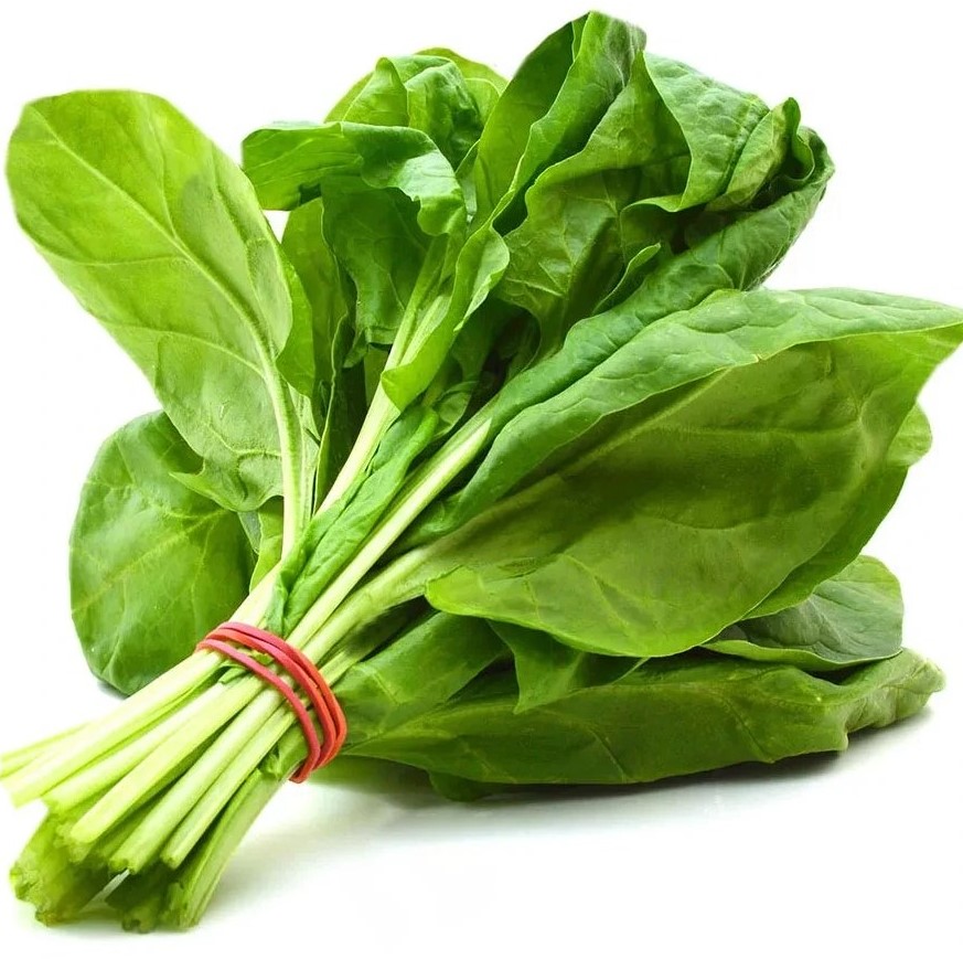 اسفناج